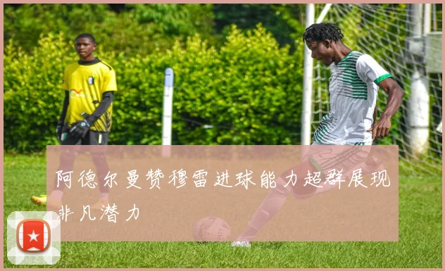 阿德尔曼赞穆雷进球能力超群展现非凡潜力