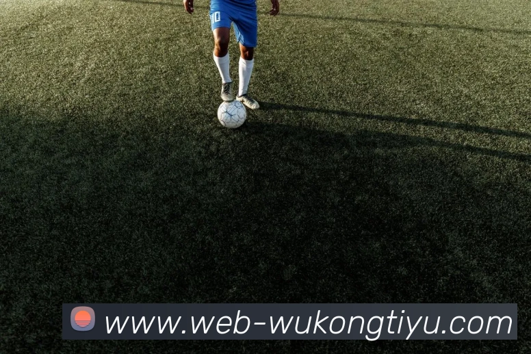 App Interface Preview