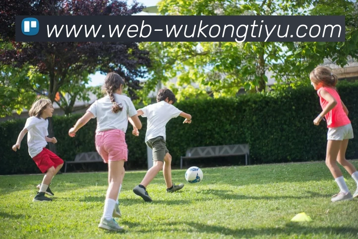 悟空体育APP 封面图