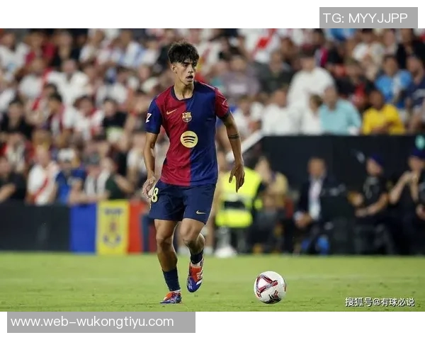 巴萨上赛季实际收入达175亿欧元今年营收目标提升至226亿